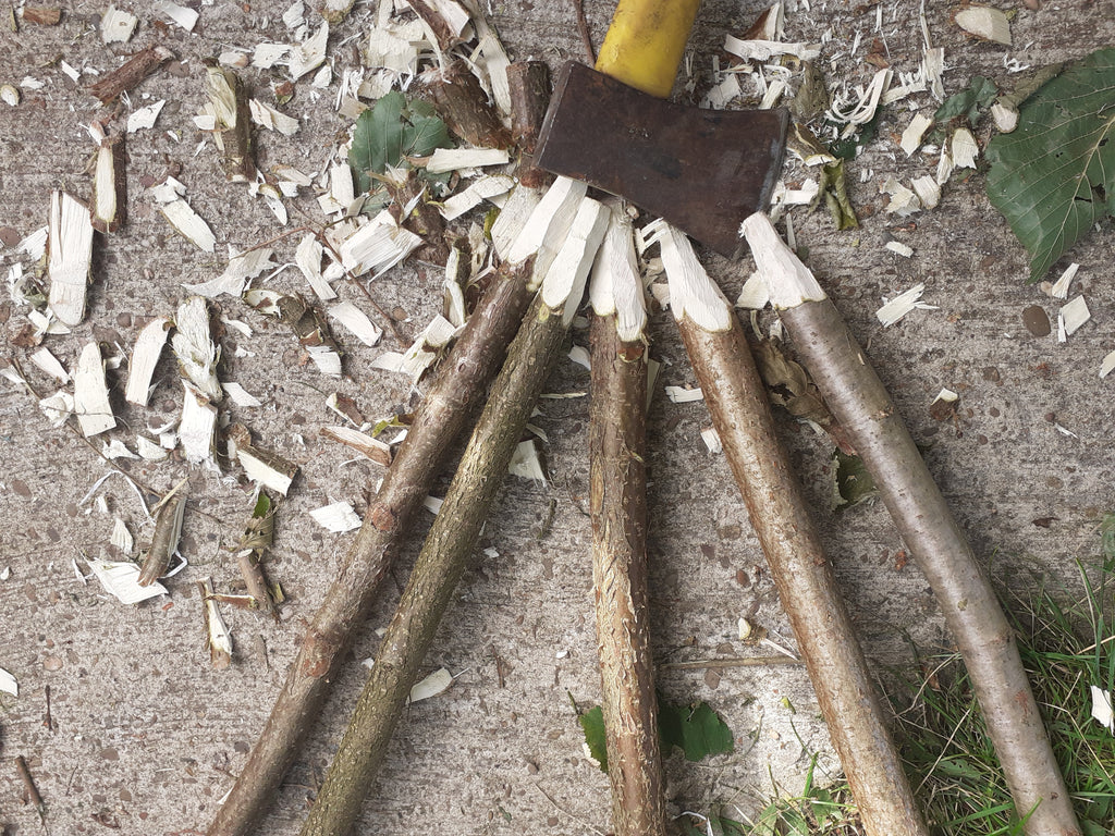 Hazel 3.8cm (1 1/2") diameter - Rustic wood posts, Zales, Sails, Stakes,  Bird Perch - Fresh cut
