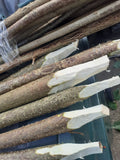 60c or 120cm Pointed Hazel Posts, Spikes, Stakes | Choose options.