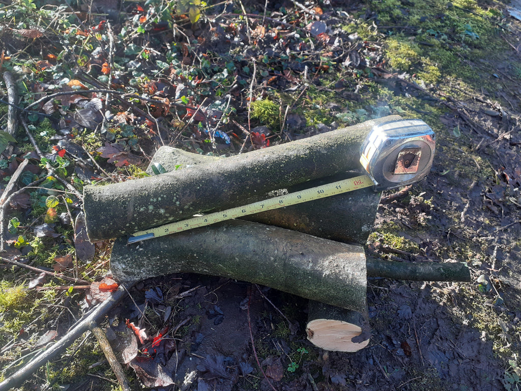 Holly - 3 Fresh cut 'Green'. Blanks, turning, crafting, Holly Logs 30cm Long x 75mm diameter