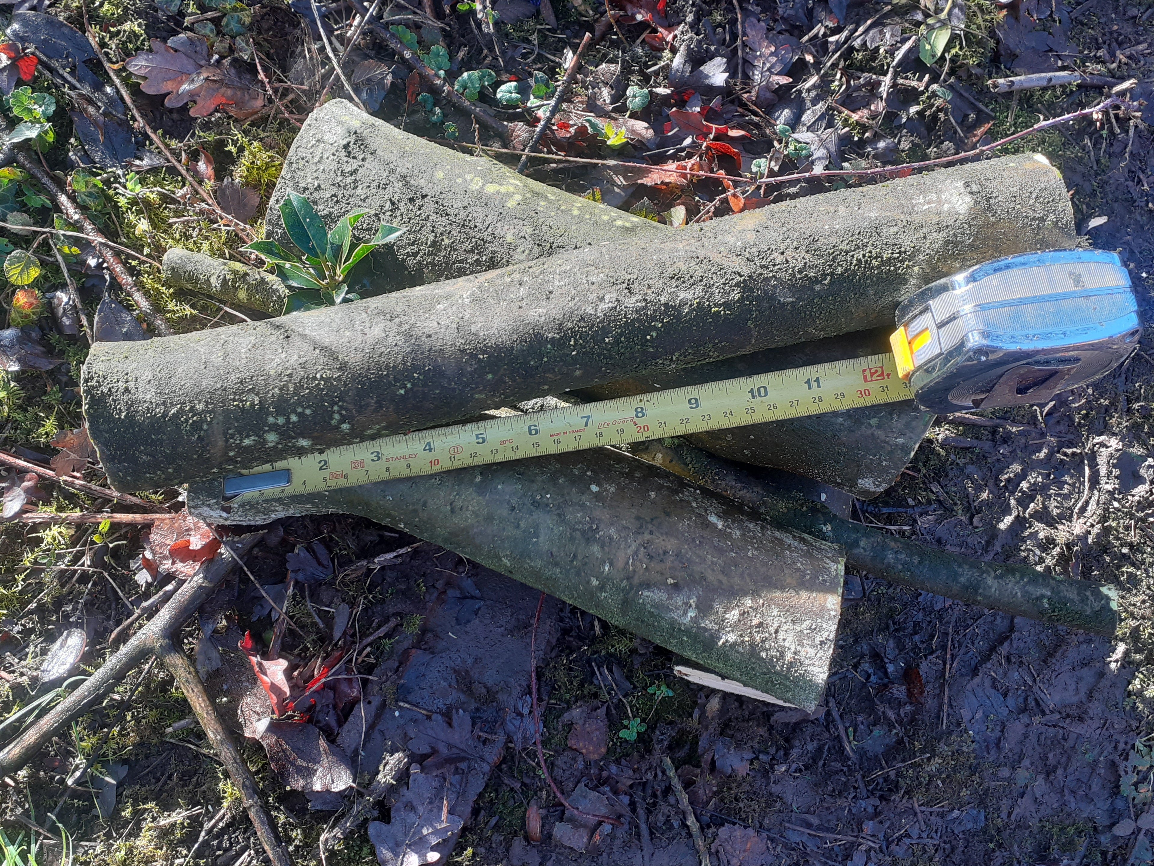 Holly - 3 Fresh cut 'Green'. Blanks, turning, crafting, Holly Logs 30cm Long x 75mm diameter