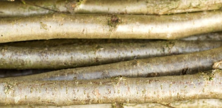 12 x 120cm (4ft) Hazel 12mm (1/2") diameter.  Thin & flexible Bean pea poles rods plant support whips pliable craft Fresh cut