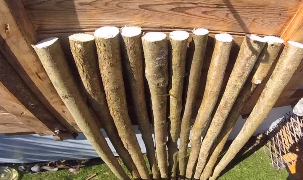1m x 40mm Diameter Hazel - Perching post. Wild birds, aviaries, owls, hawk, kestrel, birds of prey, parrots