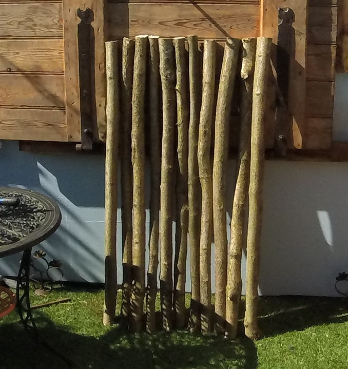 1m x 40mm Diameter Hazel - Perching post. Wild birds, aviaries, owls, hawk, kestrel, birds of prey, parrots