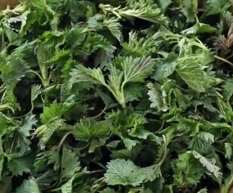 125g Dried organic nettle leaves