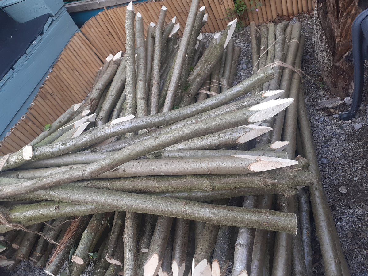 A large pile of freshly cut tree branches and logs with white sap at the ends, stacked outdoors on gravel next to a wooden fence.