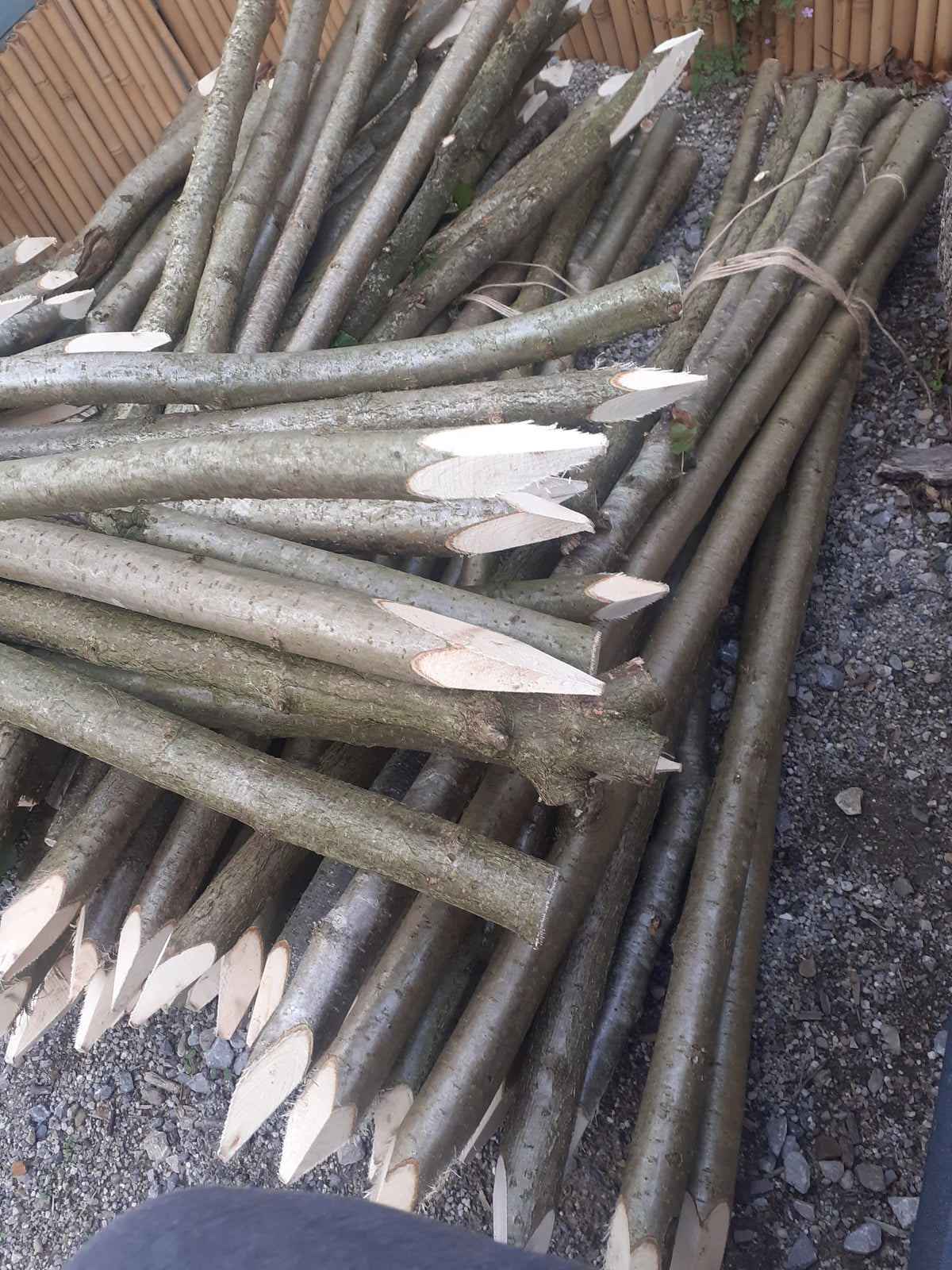 A large bundle of freshly cut tree branches or logs with exposed light wood ends, stacked outdoors on gravel near a wooden fence.