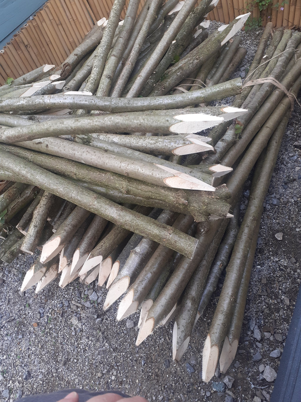 A large pile of freshly cut hazel or willow branches with pointed light wood ends, stacked outdoors on gravel next to a wooden fence.